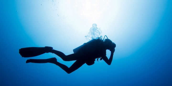 Cat_Diver.jpg