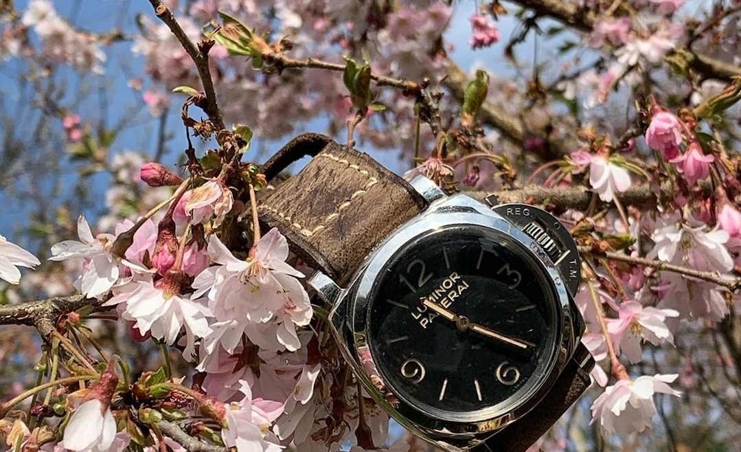 Bracelet Montre Panerai Luminor (11)